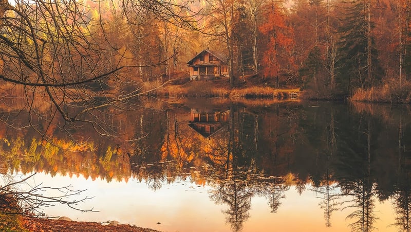 Cozy Cabin in the Woods